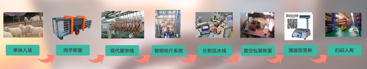 肉牛肉羊屠宰加工管理系統(tǒng) 肉牛肉羊屠宰加工管理系統(tǒng)